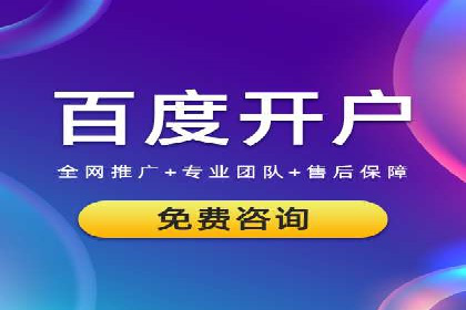 成功案例：网络推广竞价在汽车行业的运用